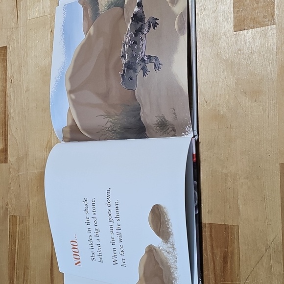 📚 NWT What Animals Do 3 Book Box Set When It Rains Snows Hot Jay Spencer - Picture 12 of 12